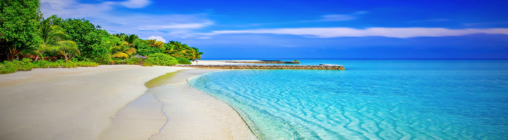 Beach Scene 301